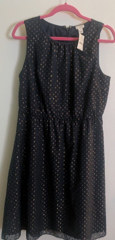 J Crew Navy and Gold Dress